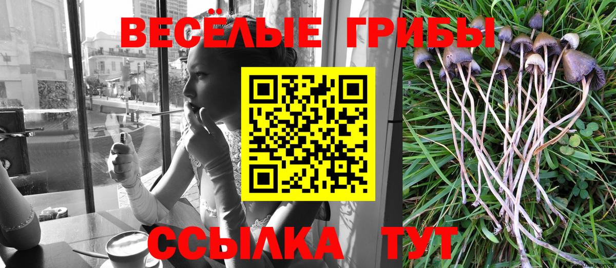 Псилоцибиновые грибы Psilocybe  Вход с VPN  Псилоцибиновые грибы прущие грибы  закладка  Советская Гавань 